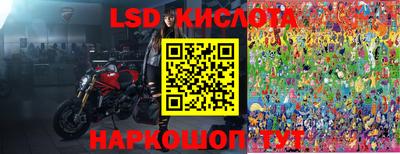 стаф Будённовск